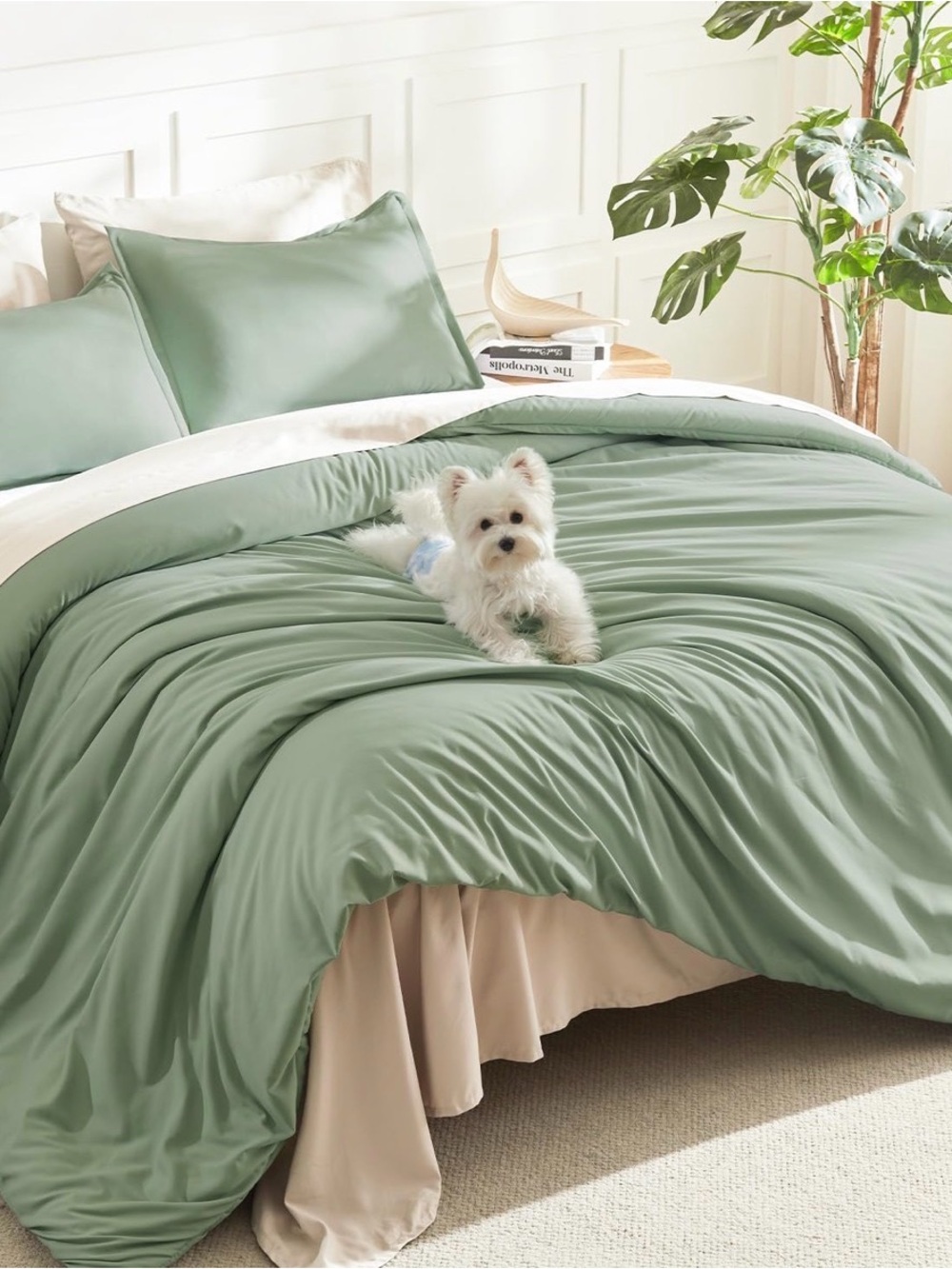 Sage green super king plus!! comforter set. New! With pillow cases